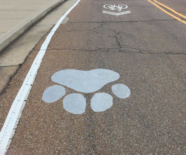Read more about the article Transpo<sup>®</sup> Industries Lays Permanent Paw Prints at Mississippi State University